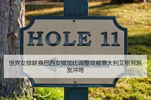 世界女排联赛巴西女排加比调整攻被意大利艾格努跳发冲垮